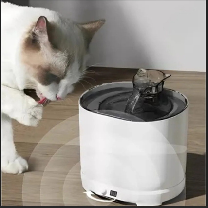 Gato bebiendo de una fuente automática tipo grifo